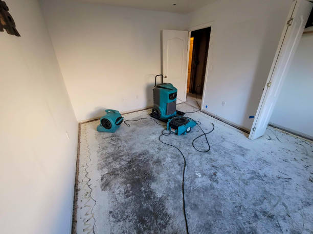 Best Water damage cleanup near me  in Long Hill, CT