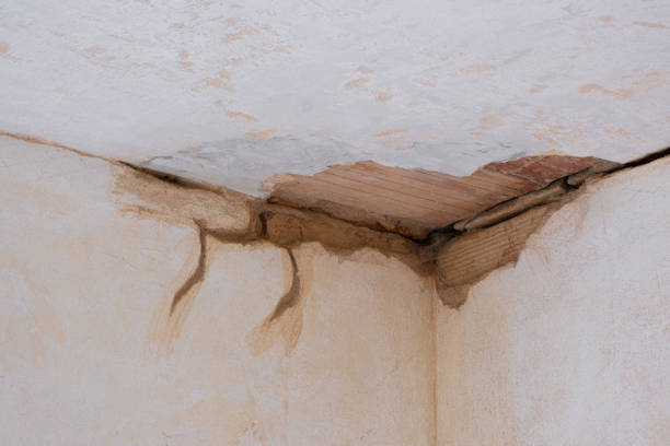Best Commercial water damage restoration  in Long Hill, CT