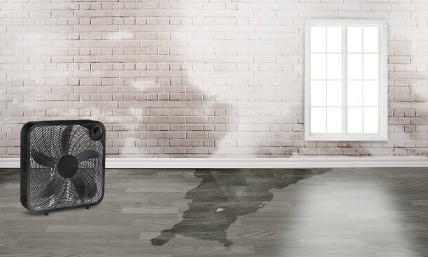 Best Water damage restoration services  in Long Hill, CT
