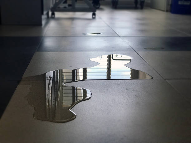 Best Water damage restoration near me  in Long Hill, CT